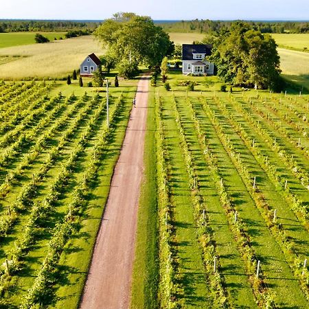 Sunbury Cove Winery Bed & Breakfast Miscouche Exterior foto